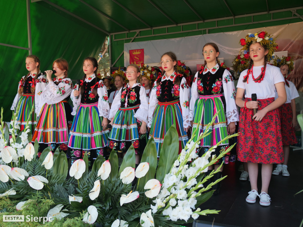 Dożynki Powiatowo-Gminne w Borkowie Kościelnym 2