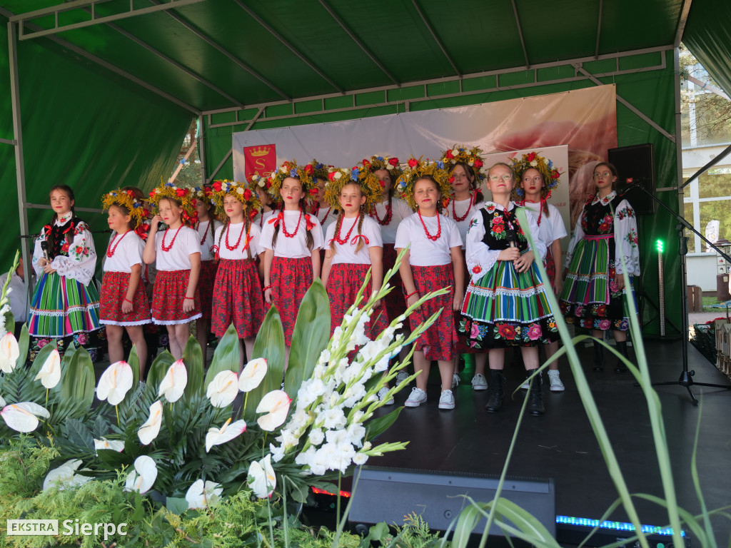 Dożynki Powiatowo-Gminne w Borkowie Kościelnym 2