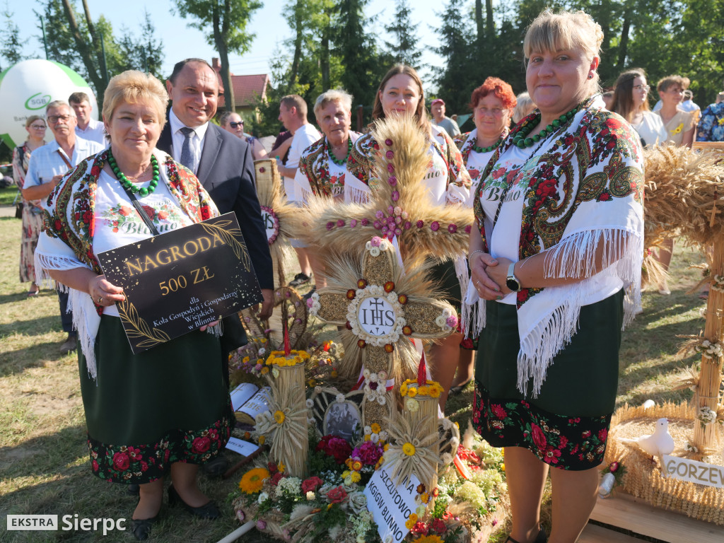 Dożynki Powiatowo-Gminne w Borkowie Kościelnym 2