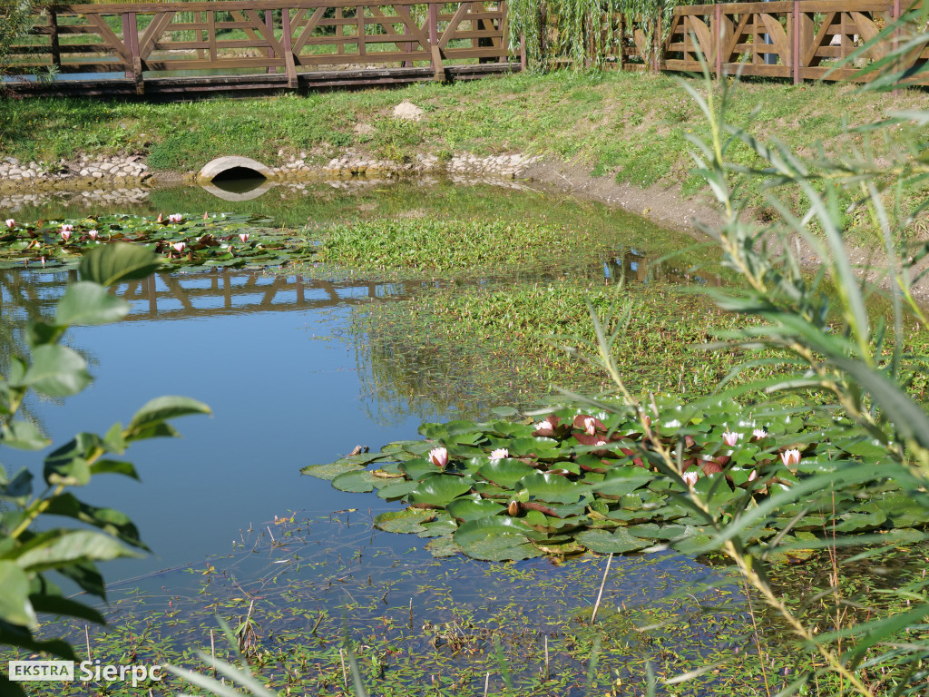 Piknik ekologiczny w Lelicach