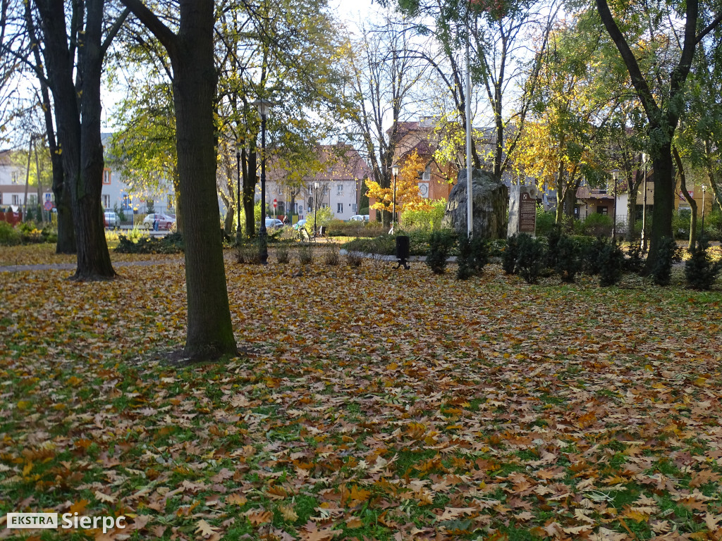 Jesień w Sierpcu