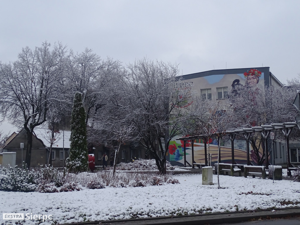Pierwszy śnieg w Sierpcu