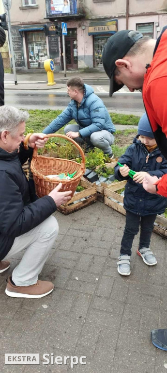 Drzewko na wiosnę