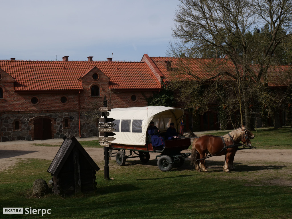 Wiosenny Marsz Nordic Walking po skansenie