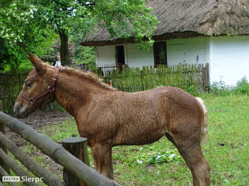 Dzień Dziecka w skansenie