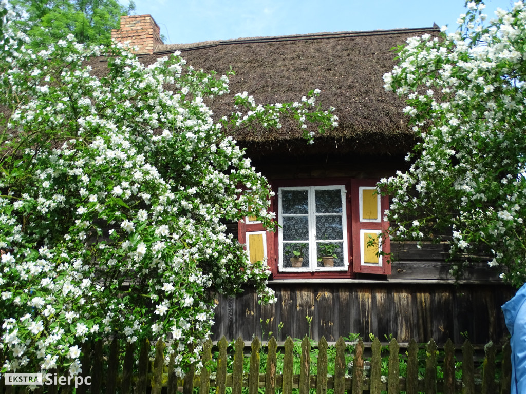 Dzień Dziecka w skansenie