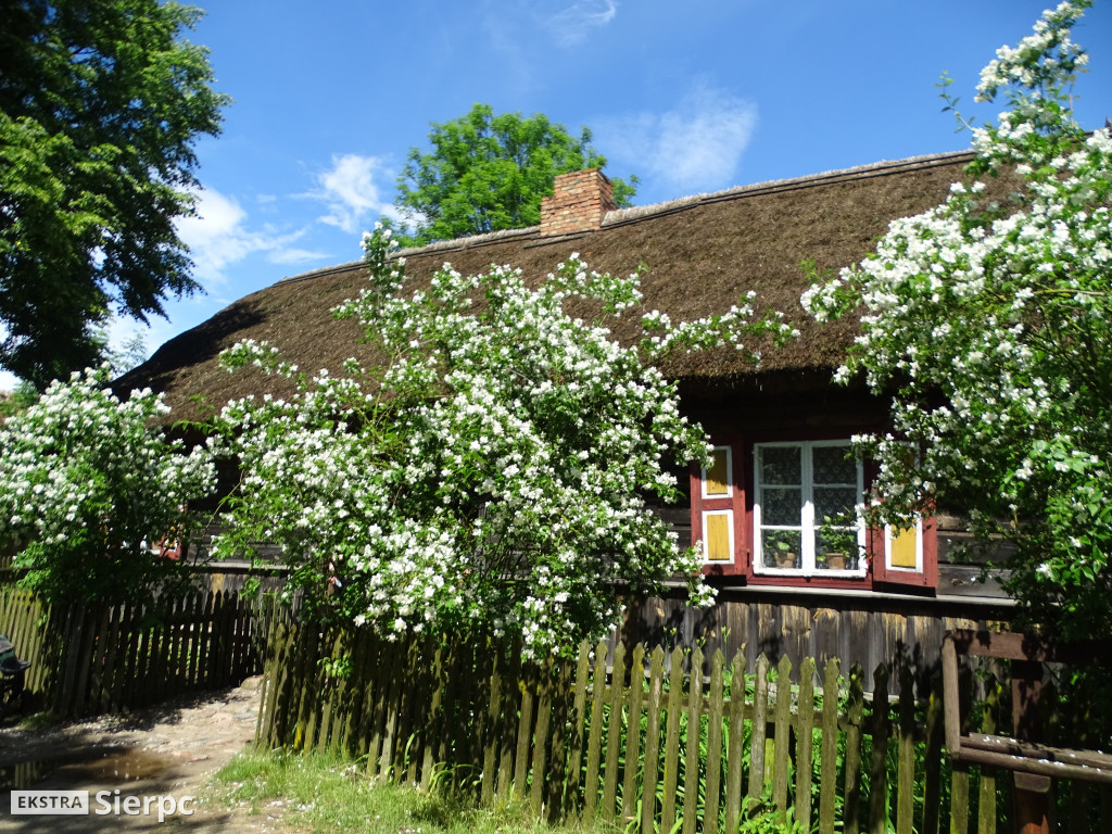 Dzień Dziecka w skansenie
