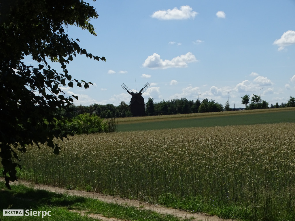 Dzień Rodzicielstwa Zastępczego