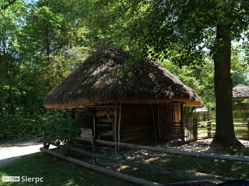 Dzień Rodzicielstwa Zastępczego