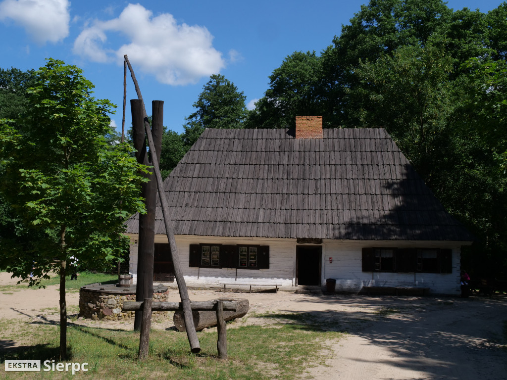 Dzień Rodzicielstwa Zastępczego