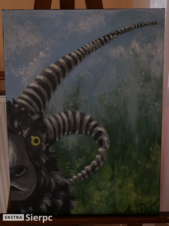 Plener „Muzealne inspiracje”