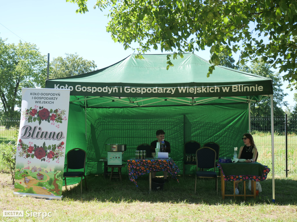 Piknik rodzinny w Blinnie
