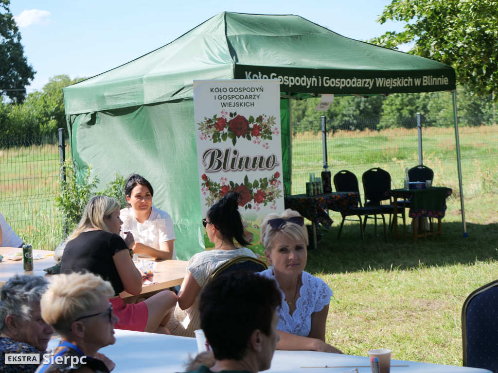Piknik rodzinny w Blinnie