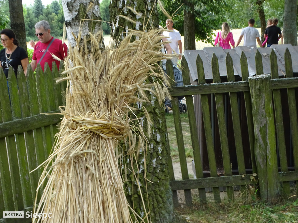 Miodobranie w skansenie