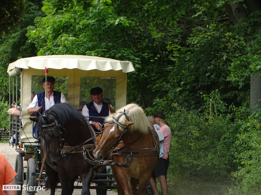 Miodobranie w skansenie
