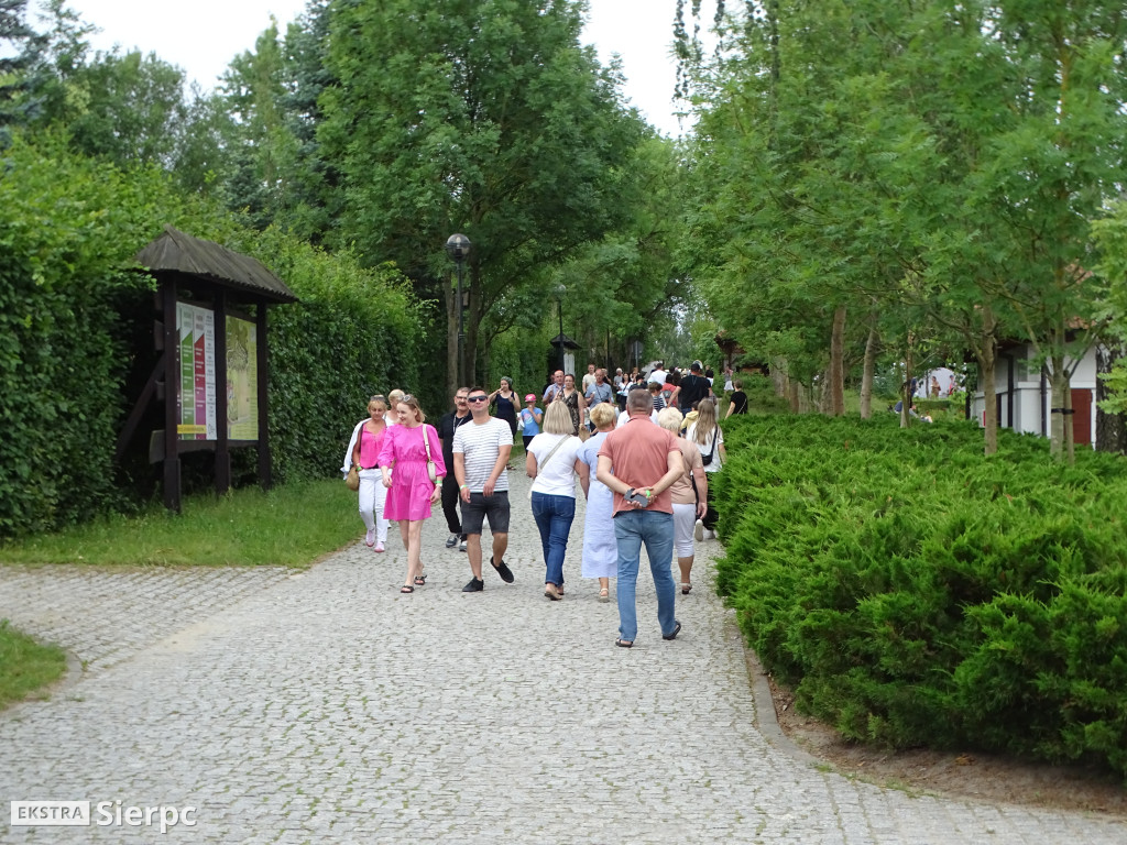 Miodobranie w skansenie