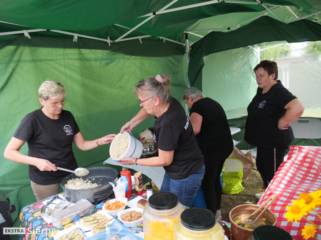 Miodobranie w skansenie