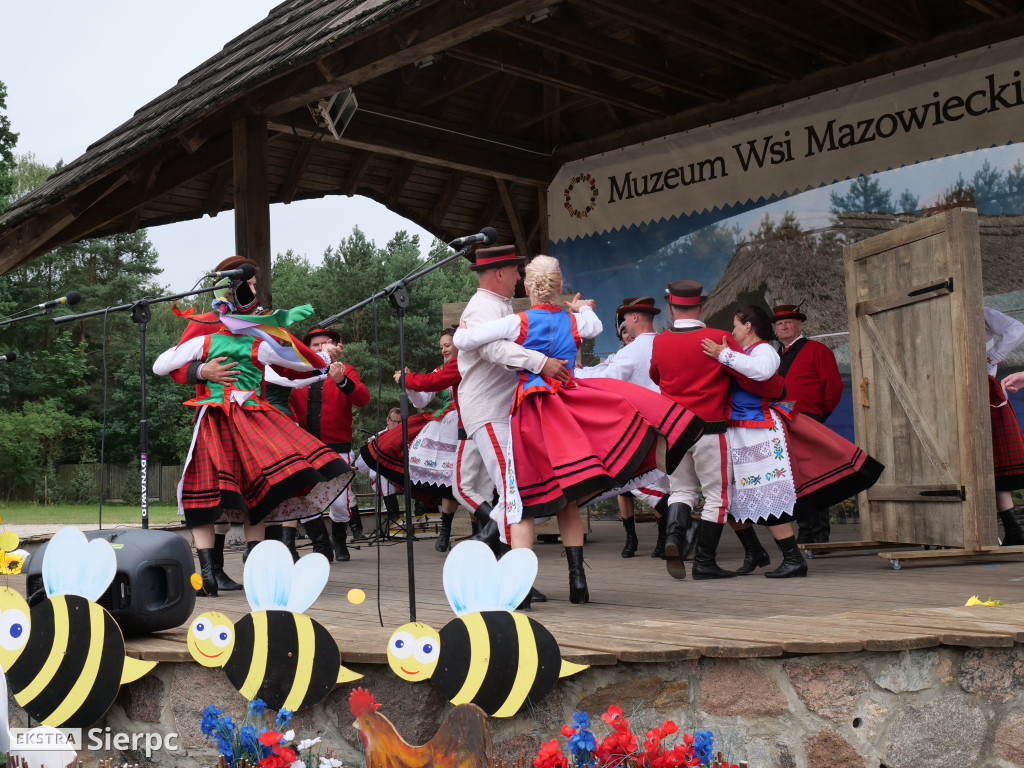 Miodobranie w skansenie