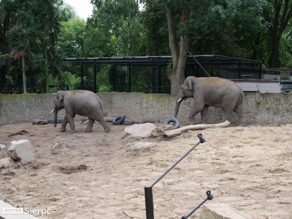 Płockie ZOO