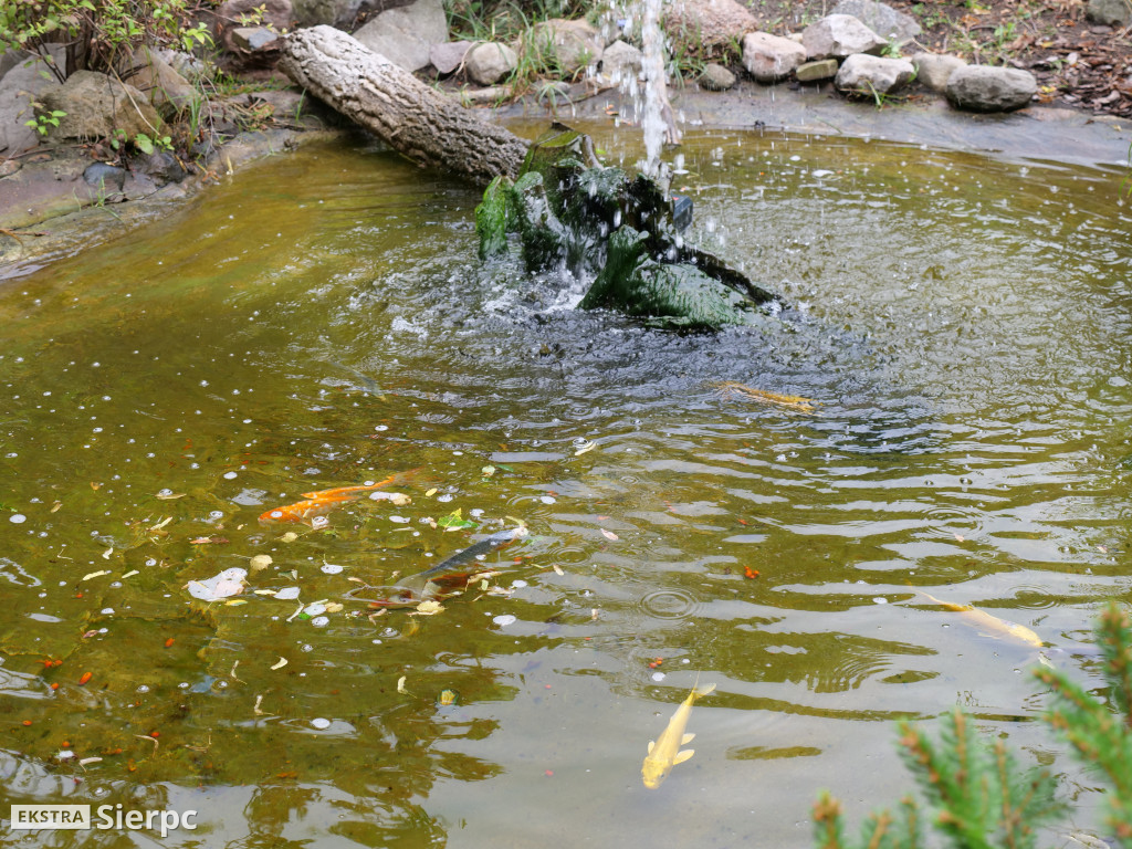 Płockie ZOO