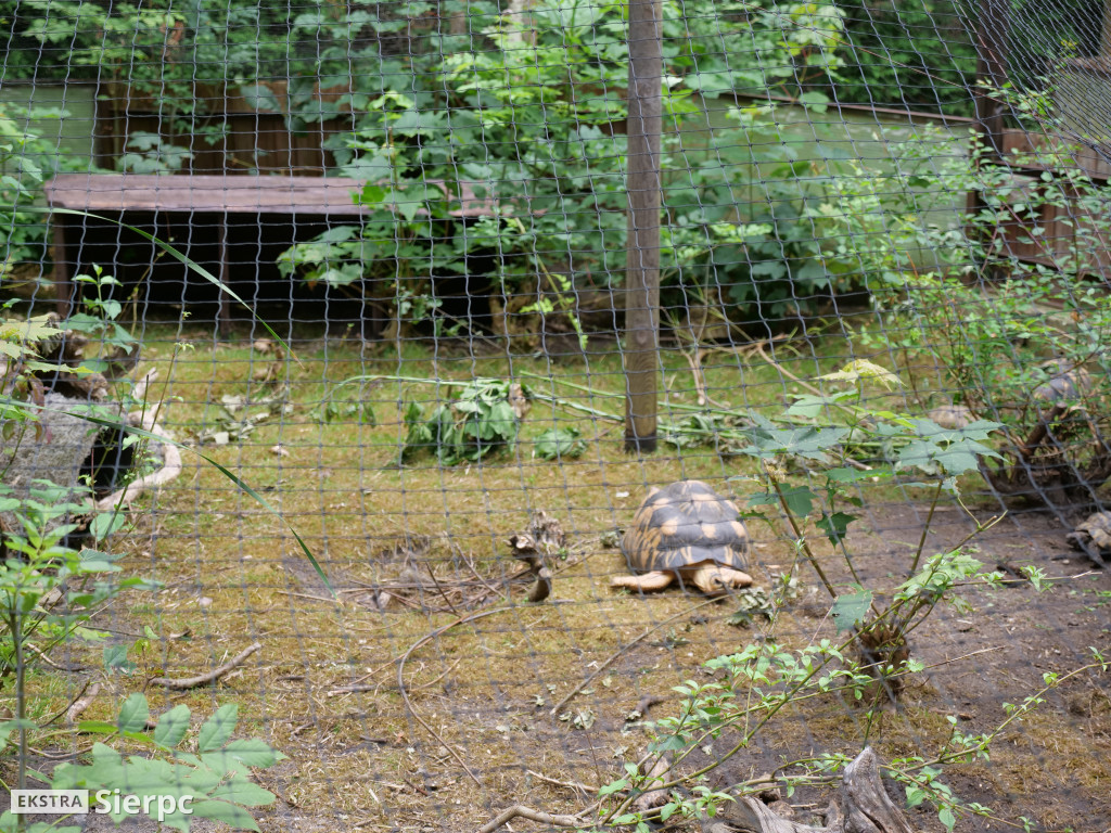 Płockie ZOO