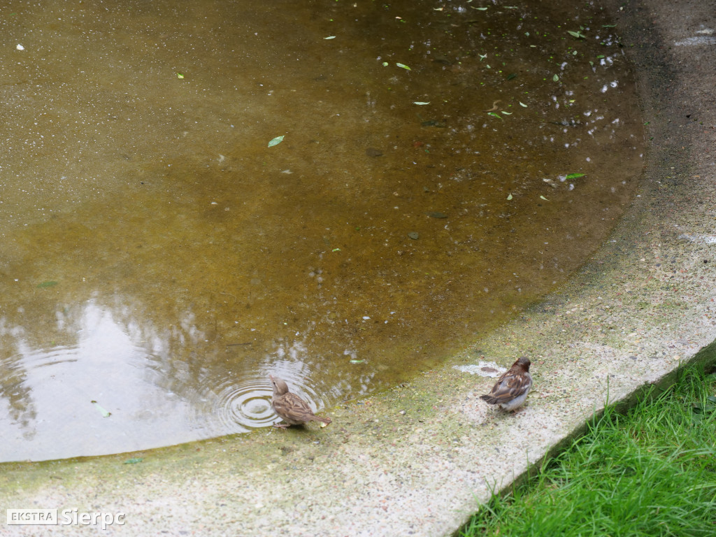 Płockie ZOO