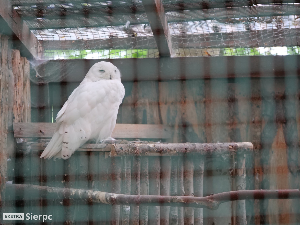 Płockie ZOO