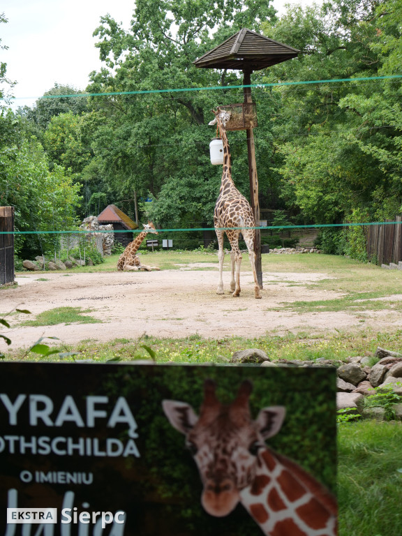 Płockie ZOO