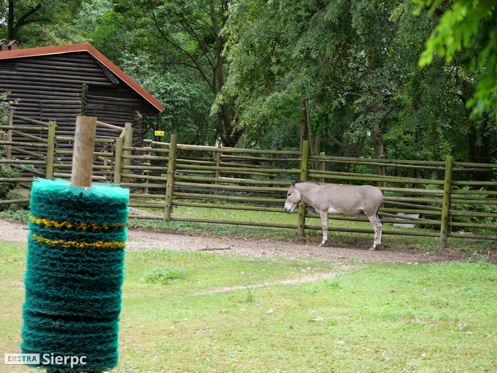 Płockie ZOO