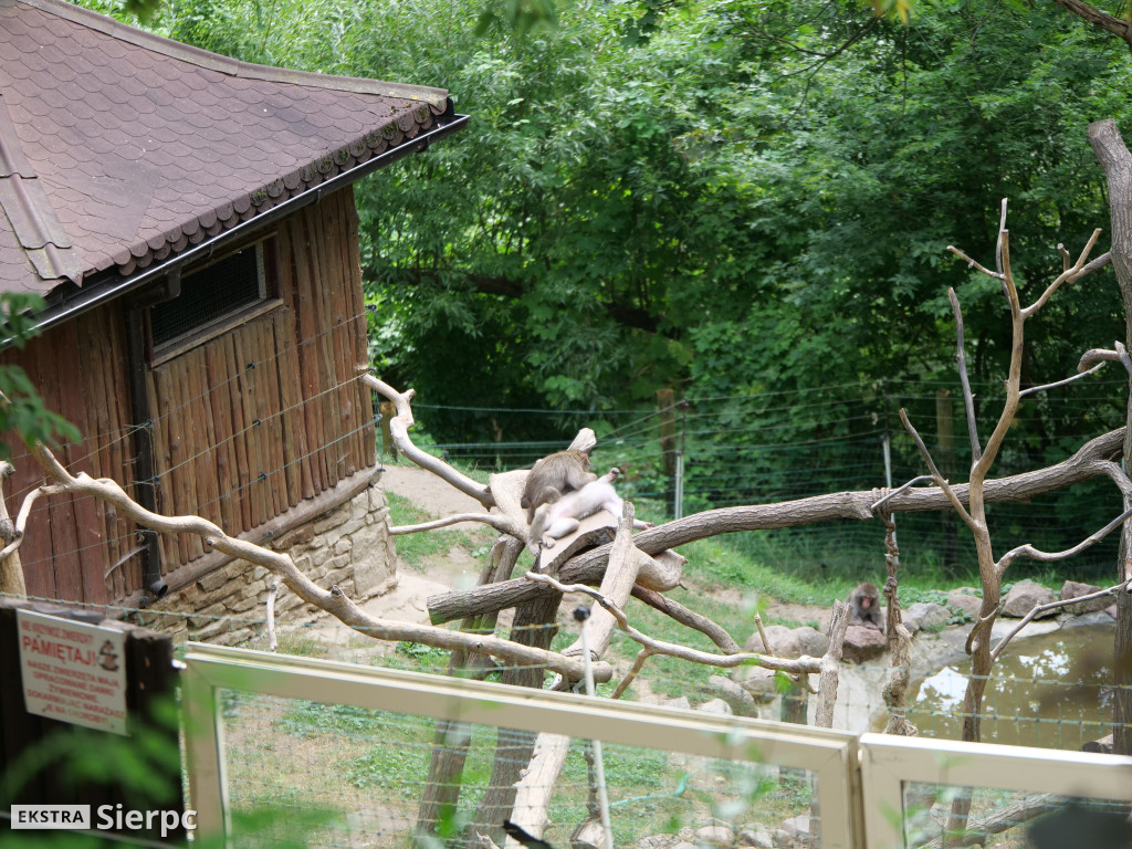 Płockie ZOO