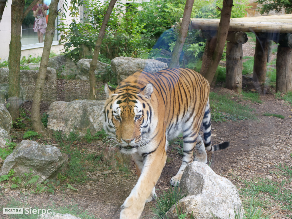 Płockie ZOO