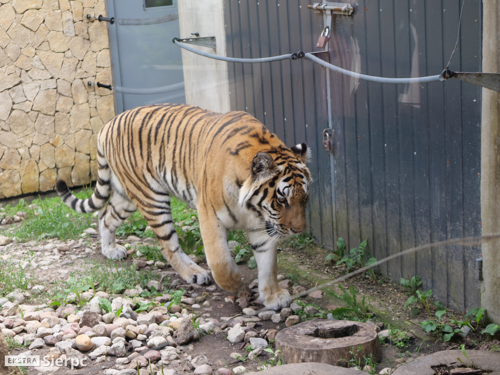 Płockie ZOO