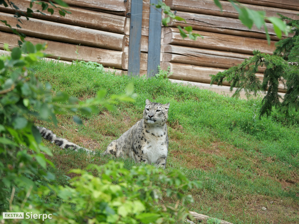 Płockie ZOO