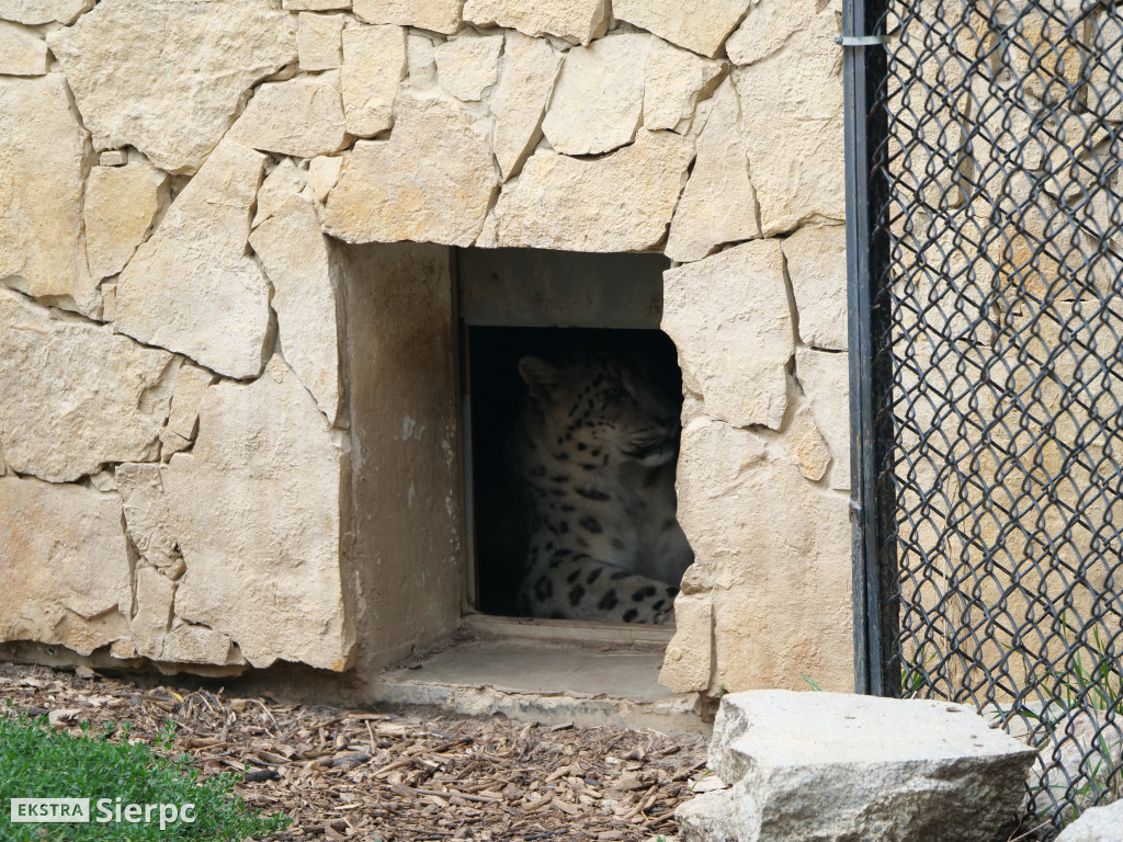 Płockie ZOO