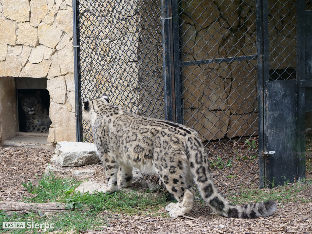 Płockie ZOO