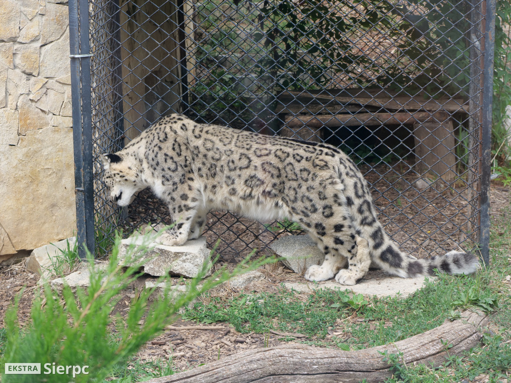 Płockie ZOO