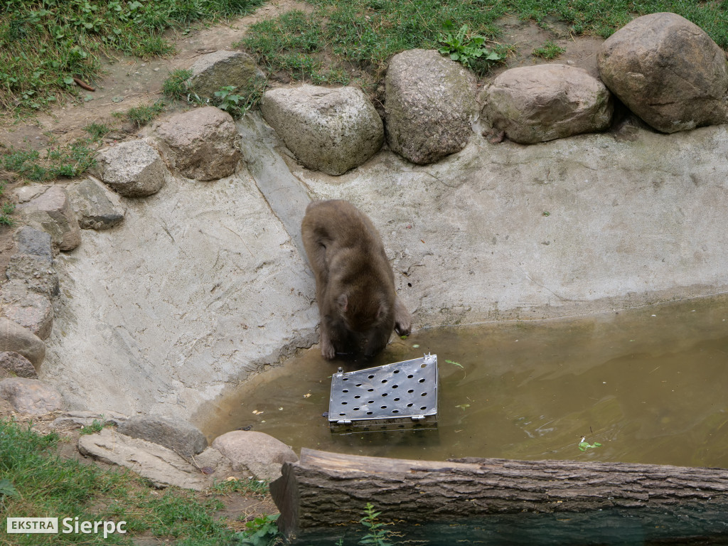 Płockie ZOO