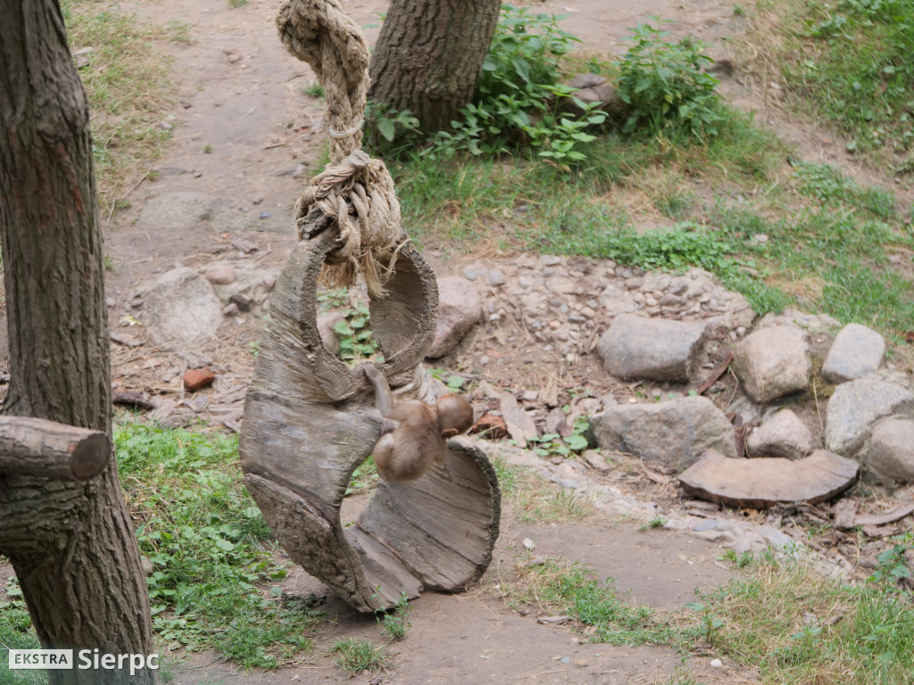 Płockie ZOO