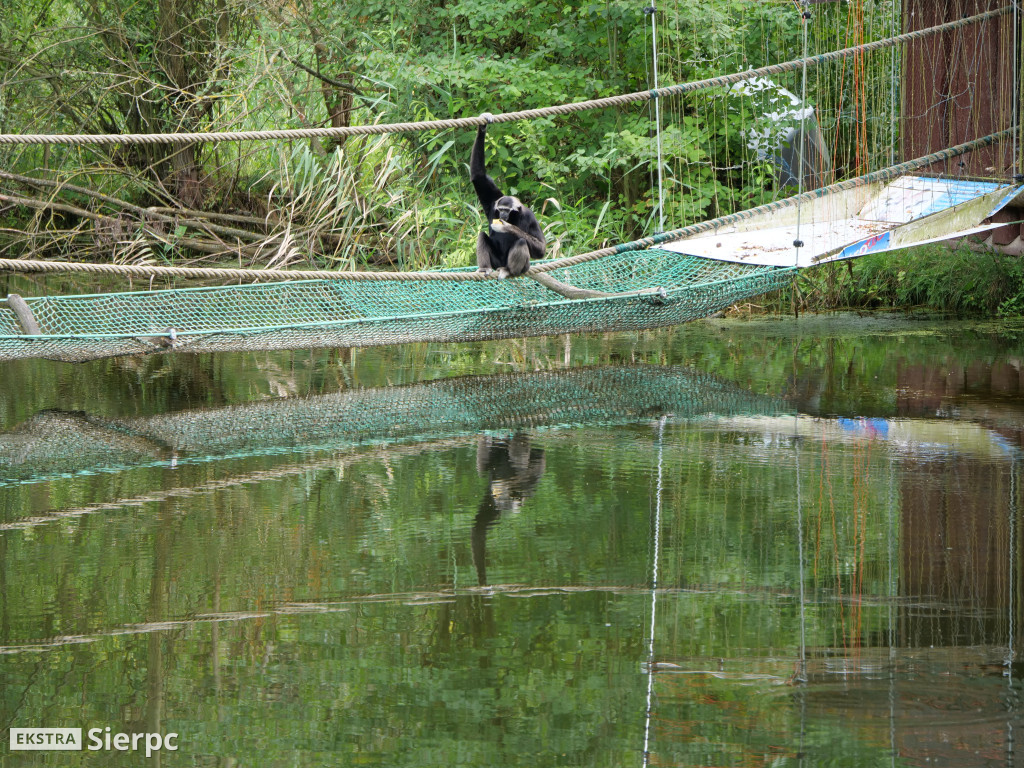 Płockie ZOO