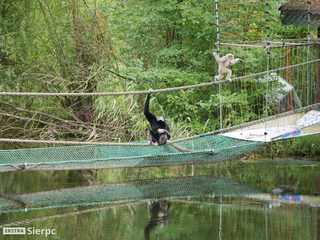 Płockie ZOO