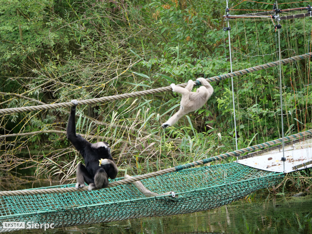 Płockie ZOO