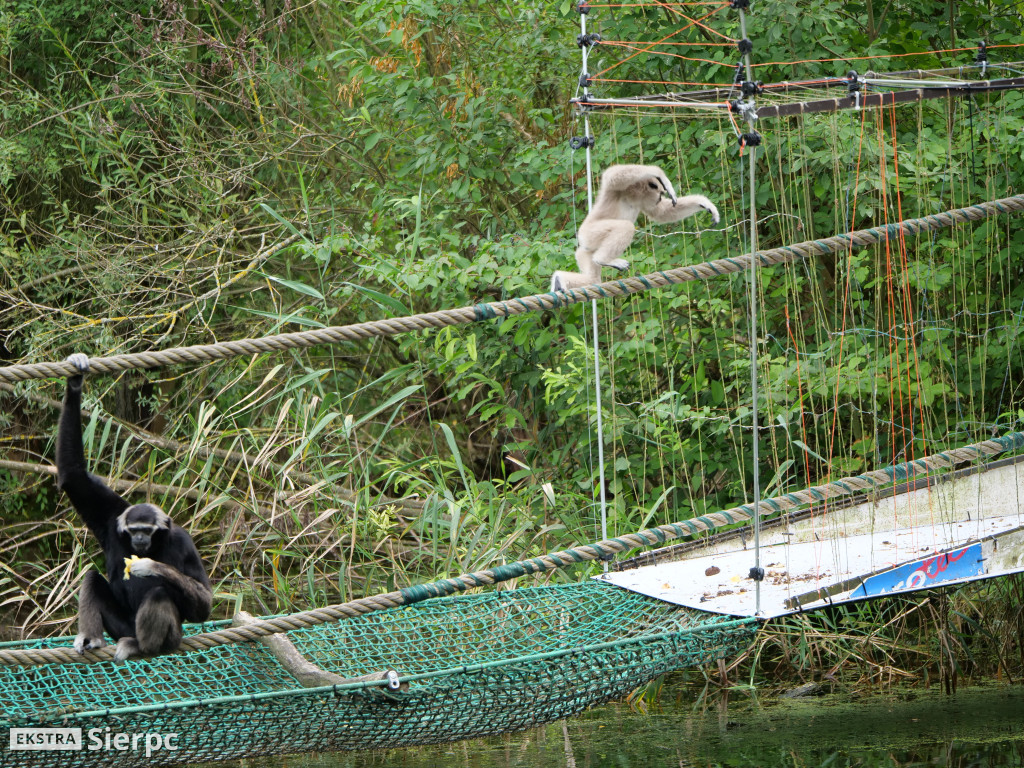 Płockie ZOO