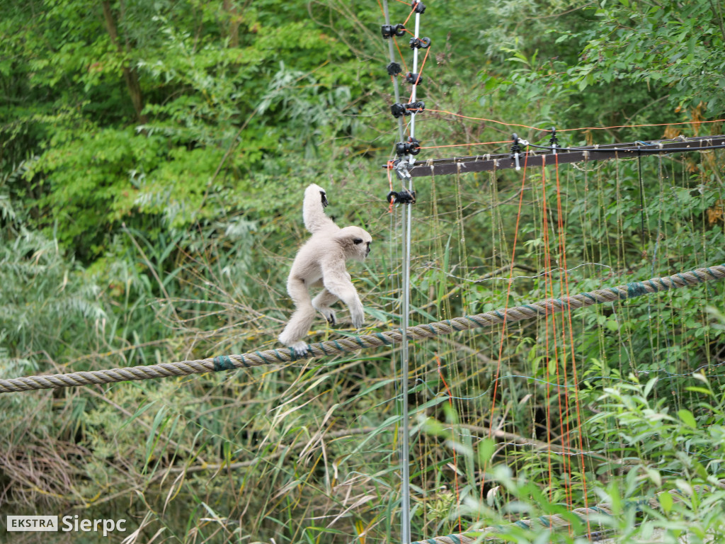 Płockie ZOO