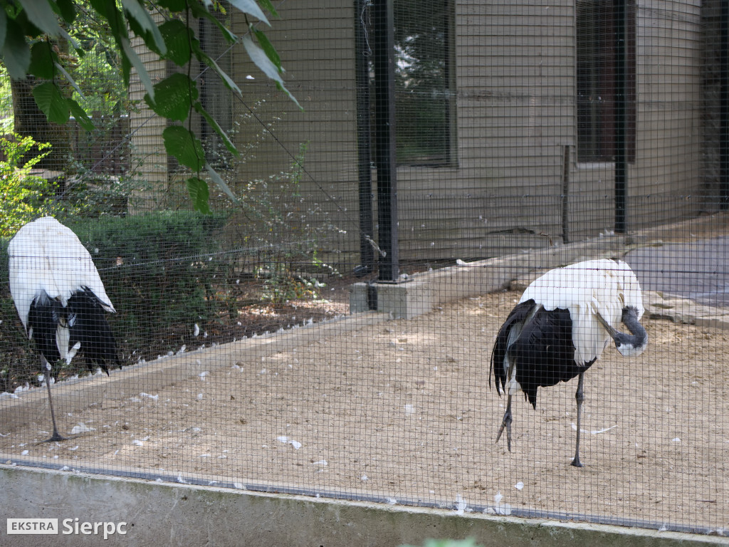 Płockie ZOO