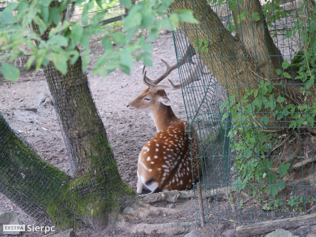 Płockie ZOO