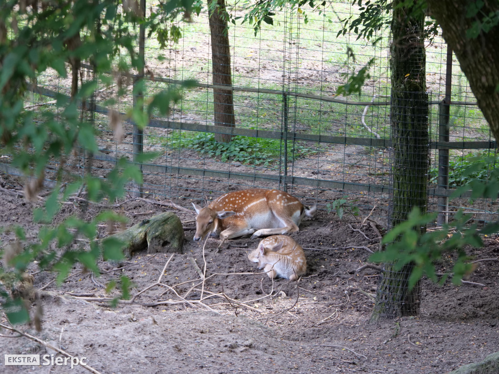 Płockie ZOO