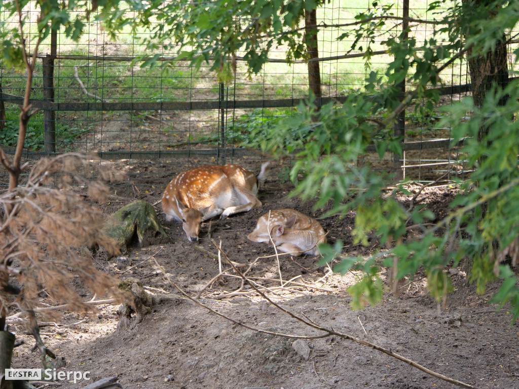 Płockie ZOO