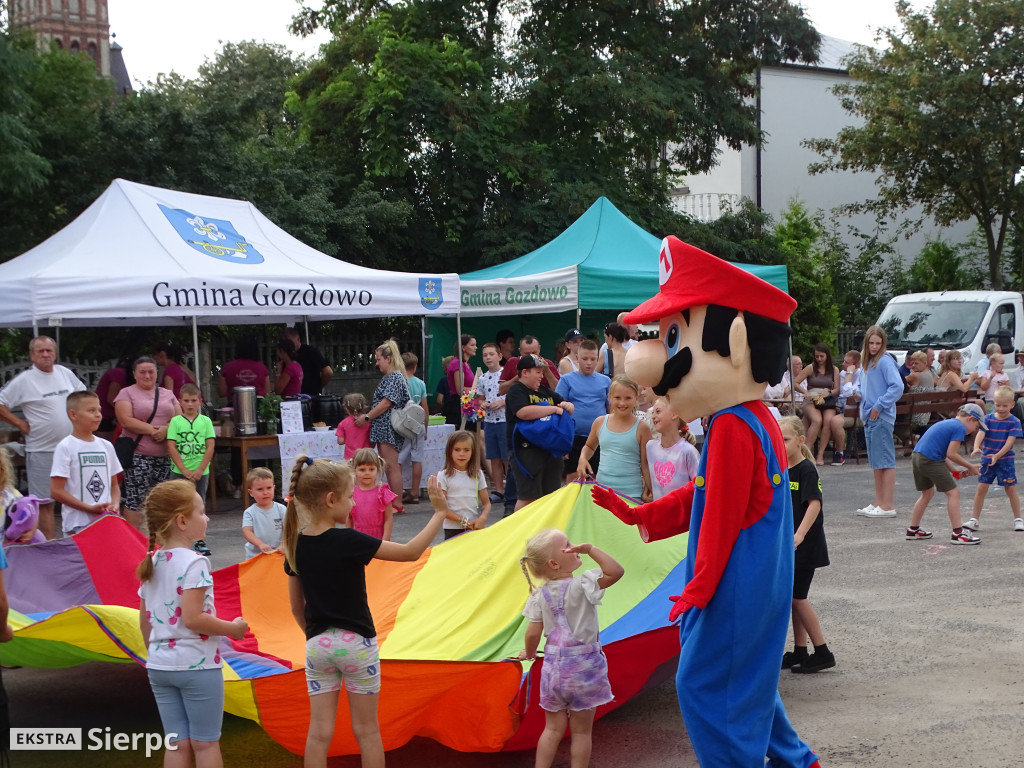 Wakacyjny Rodzinny Piknik w Gozdowie