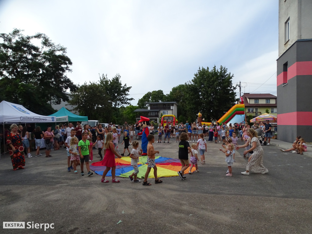 Wakacyjny Rodzinny Piknik w Gozdowie