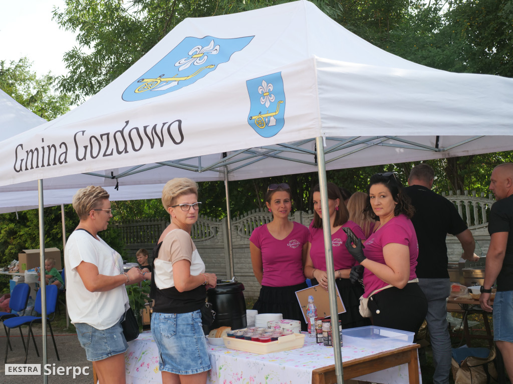 Wakacyjny Rodzinny Piknik w Gozdowie